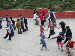 hayalevi03 hayalevi03
